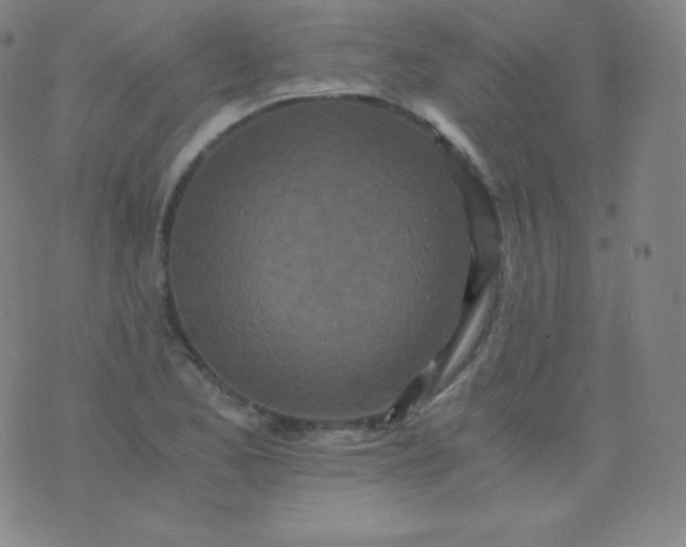 X0000076251173200610122158