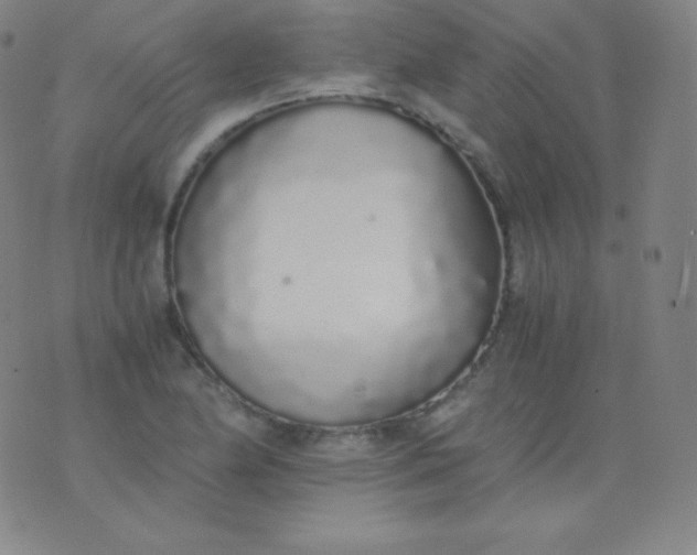 X0000076251174200610122158