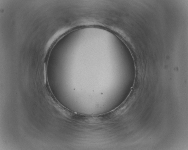 X0000076251175200610122158