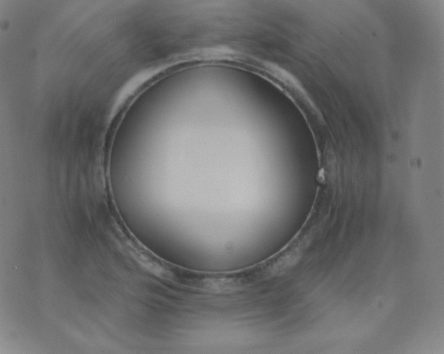 X0000076251176200610122158