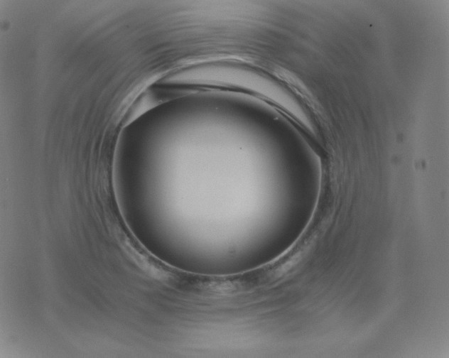 X0000076251177200610122158