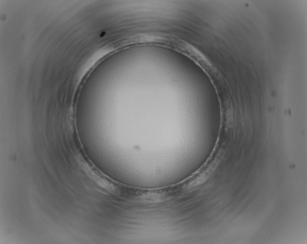 X0000076251178200610122158