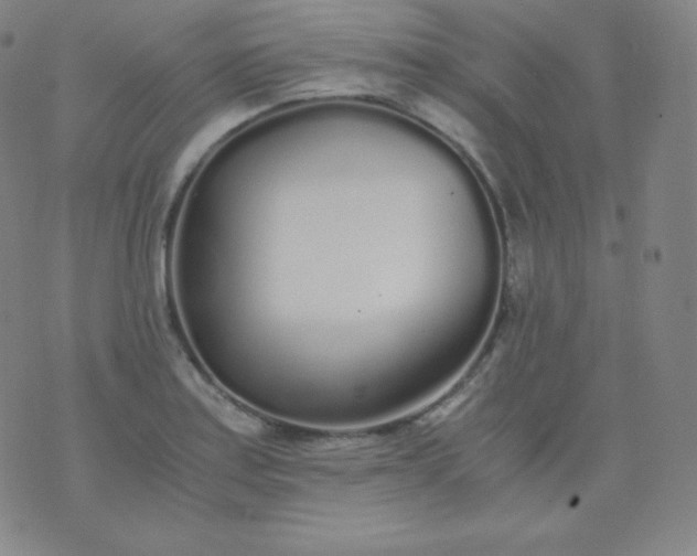 X0000076251179200610122158