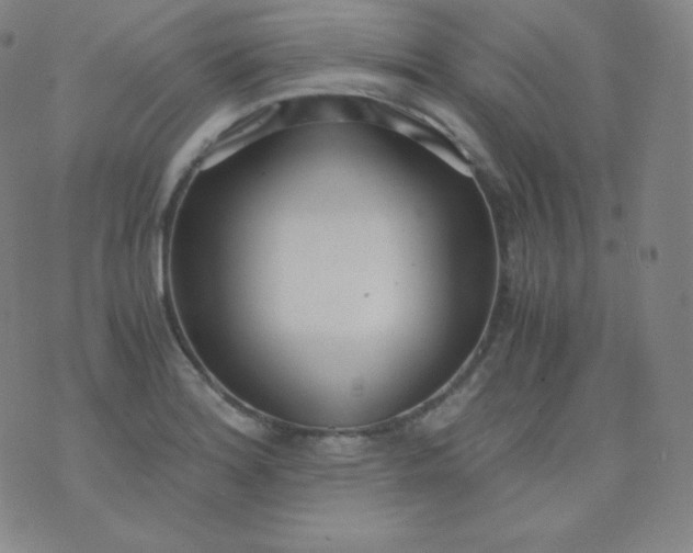 X0000076251180200610122158