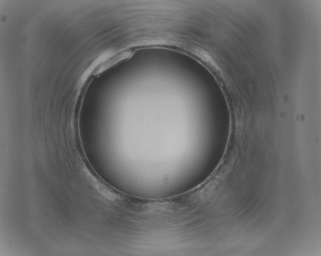 X0000076251181200610122158