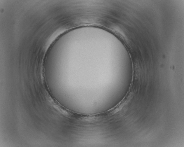 X0000076251182200610122158