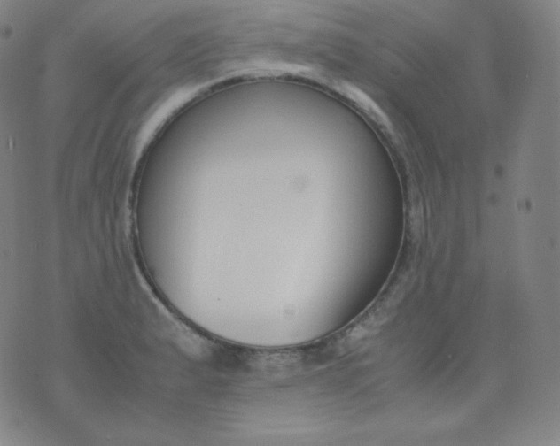 X0000076251183200610122158