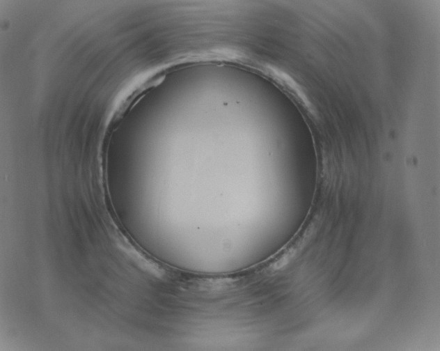 X0000076251184200610122158