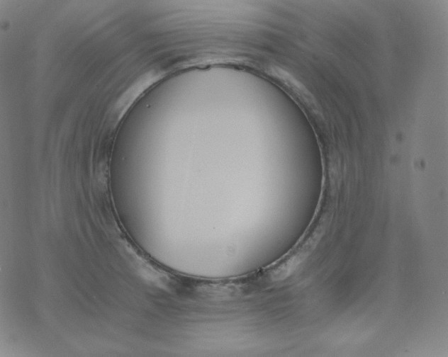 X0000076251185200610122158