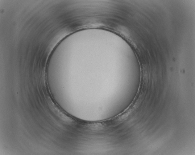 X0000076251186200610122157