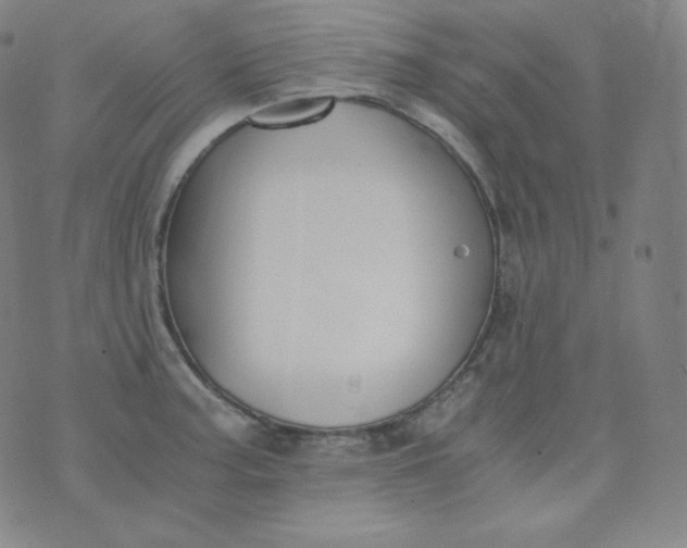 X0000076251187200610122157