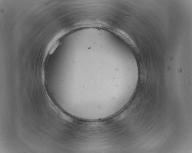 X0000076251188200610122157