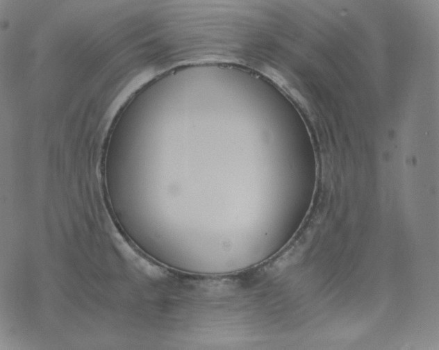 X0000076251189200610122157