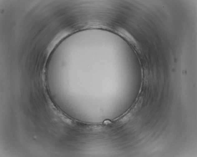 X0000076251190200610122157