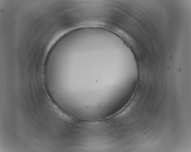 X0000076251192200610122157