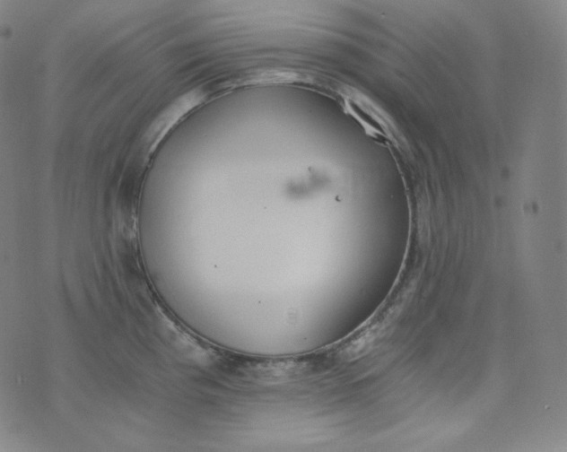 X0000076251193200610122157