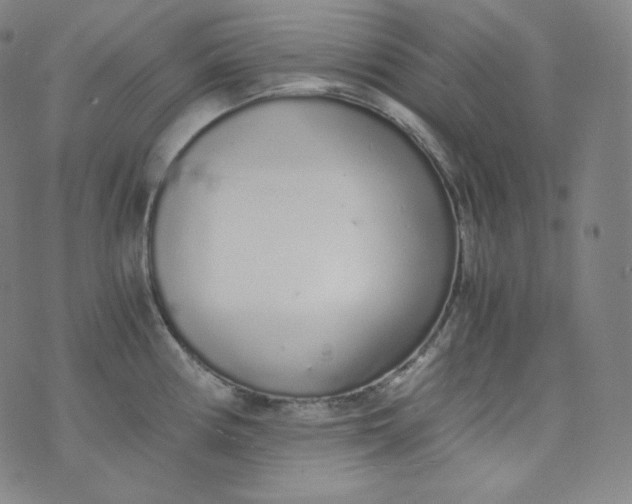 X0000076251194200610122157