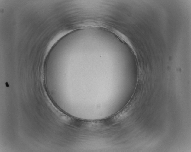 X0000076251195200610122157