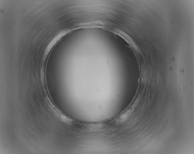 X0000076251196200610122157