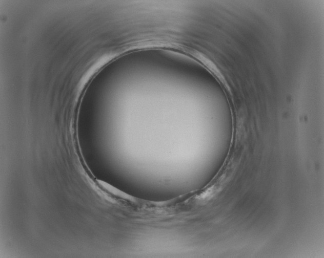 X0000076251197200610122157