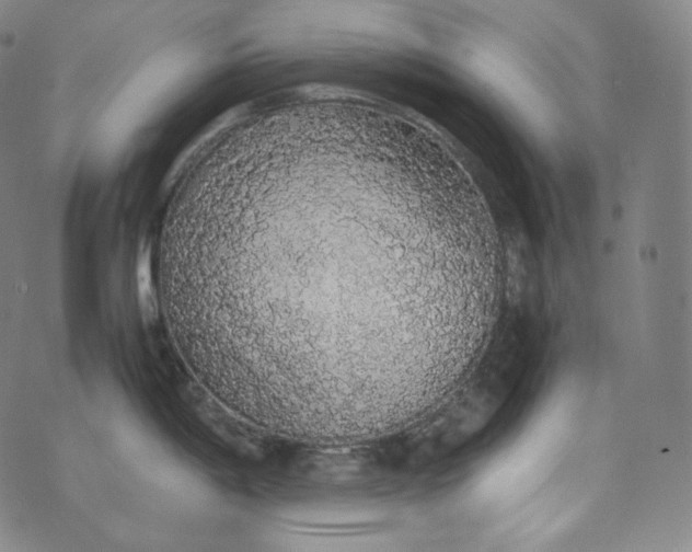 X0000076251198200610122157