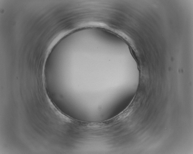 X0000076251199200610122157