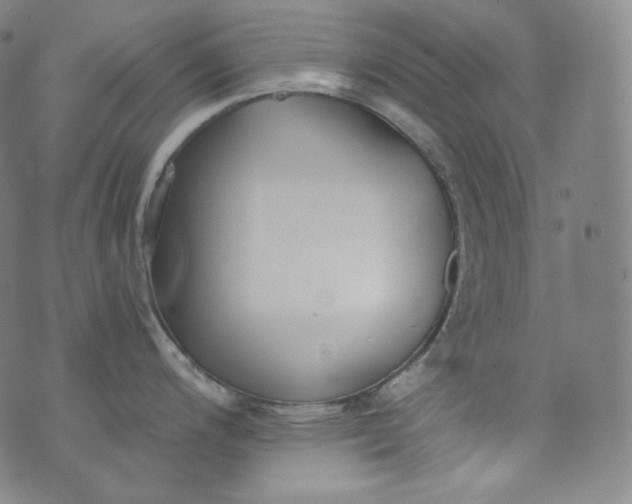 X0000076251200200610122157