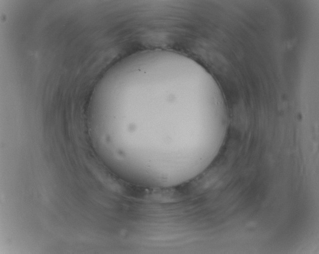 X0000076251201200610122156