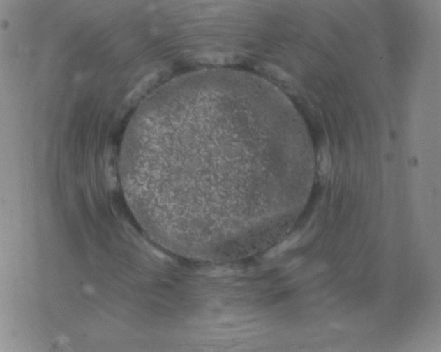 X0000076251202200610122157