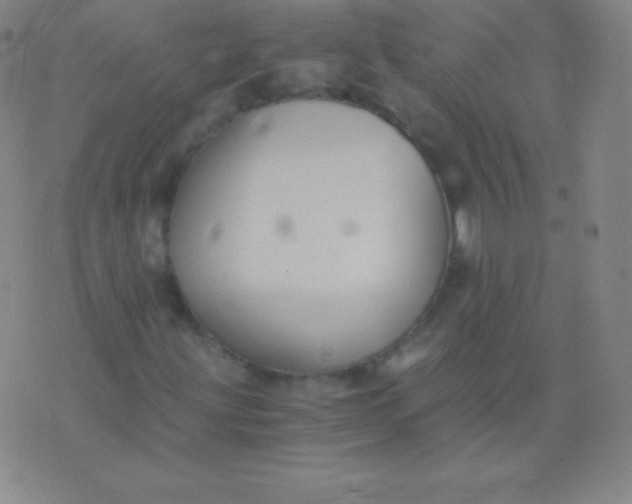 X0000076251203200610122157