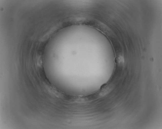 X0000076251204200610122157