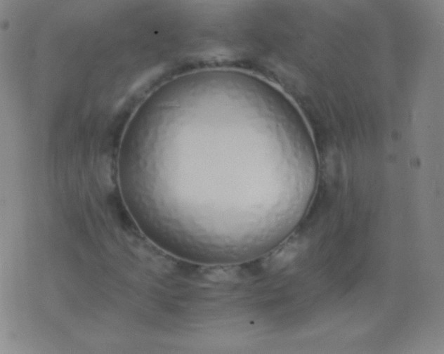 X0000076251205200610122157