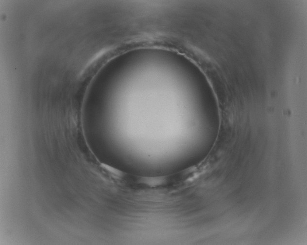 X0000076251206200610122157