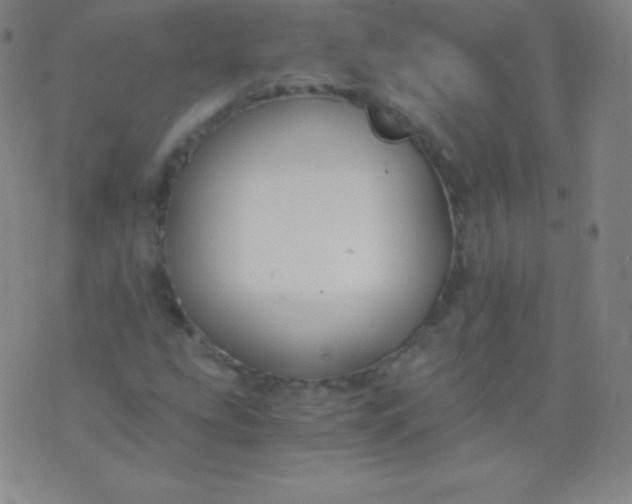 X0000076251207200610122157