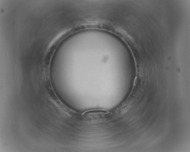 X0000076251208200610122157