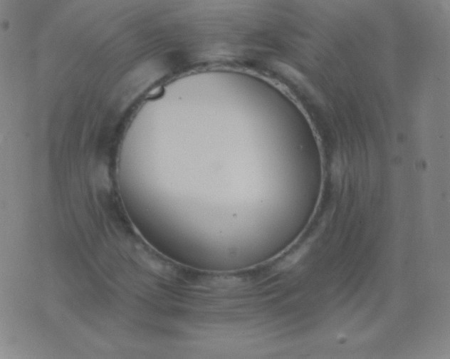 X0000076251209200610122157