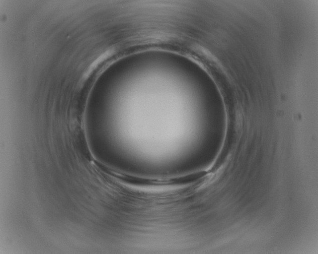 X0000076251210200610122157