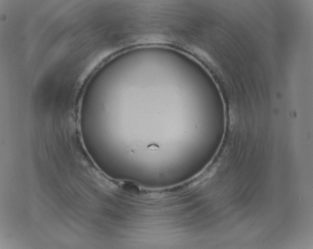 X0000076251212200610122157