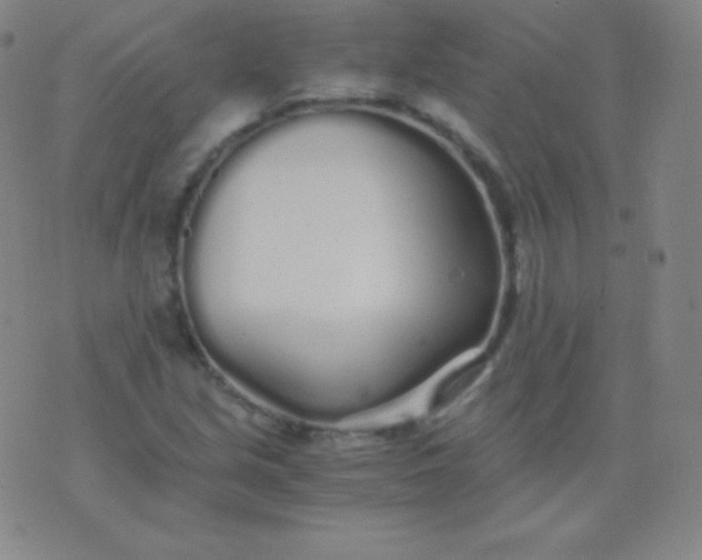 X0000076251213200610122157