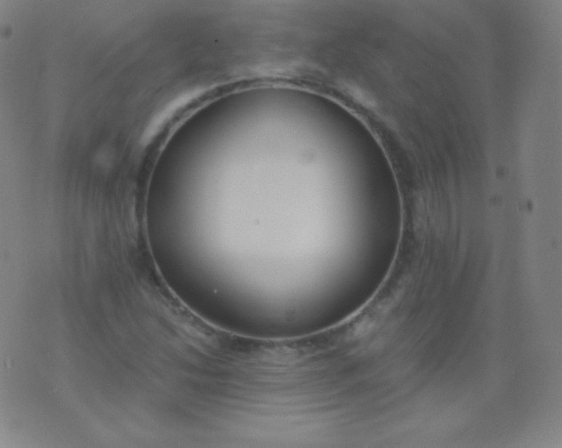 X0000076251214200610122157