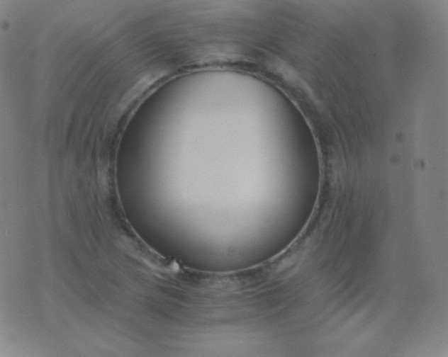 X0000076251217200610122157