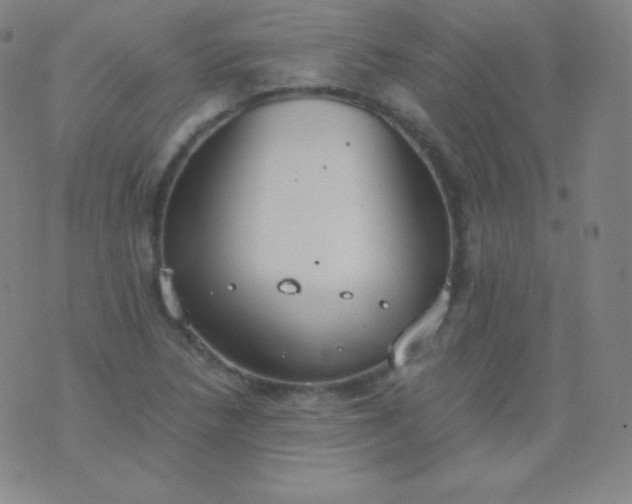 X0000076251218200610122157