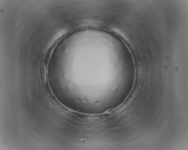 X0000076251219200610122157