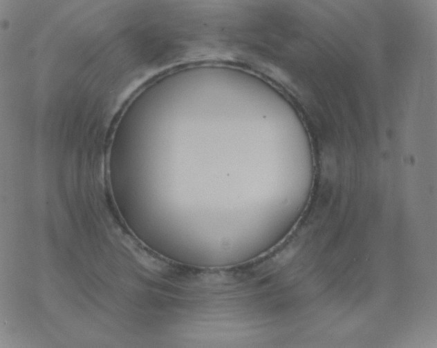 X0000076251220200610122157