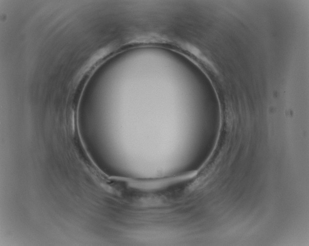 X0000076251221200610122157