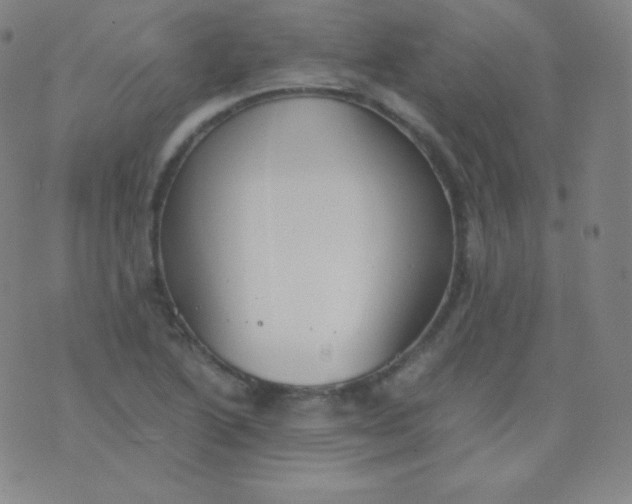 X0000076251222200610122157