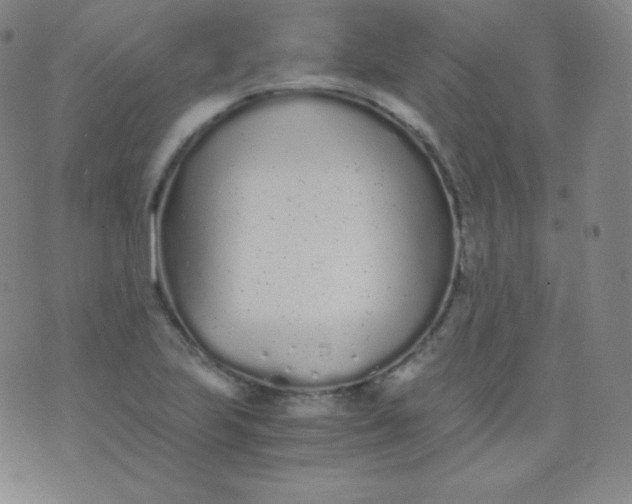 X0000076251223200610122157