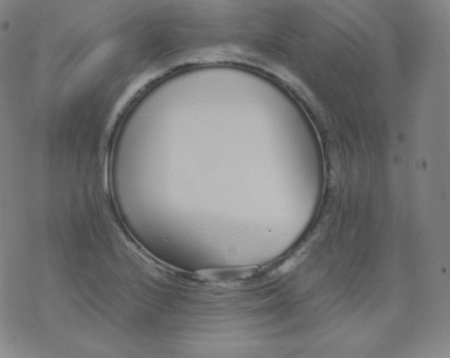 X0000076251224200610122157