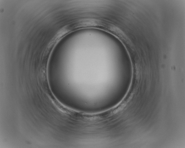 X0000076251225200610122157