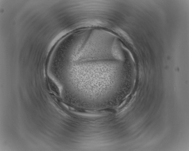 X0000076251226200610122157